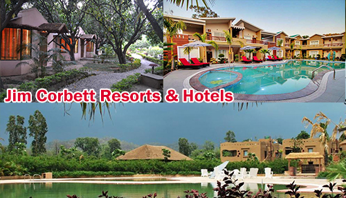 Jim Corbett resorts offer best deals for resorts in Jim corbett Book Online